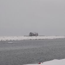 沖合に流氷が！