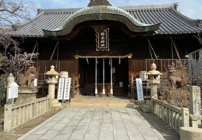 月照寺の隣に建つ神社です