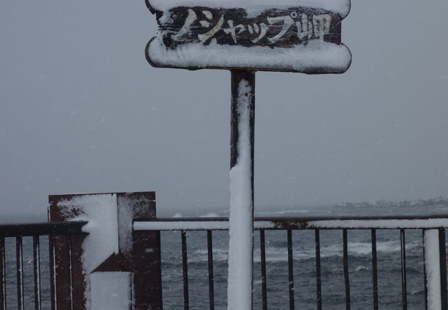 天気の良い日には、ノシャップ岬から、銀色に輝く利尻富士が見える