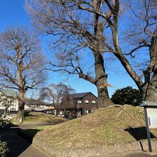 塚は２つとも残っています