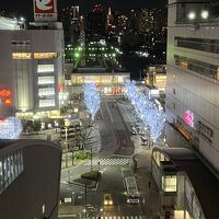 室内からの眺望