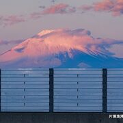 三浦半島の随所から富士山を遠望することが出来ました