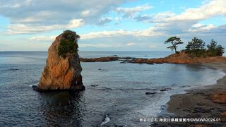 好天に恵まれ相模湾の先に富士山も見ることが出来ました