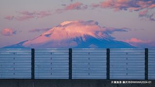 三浦半島の随所から富士山を遠望することが出来ました