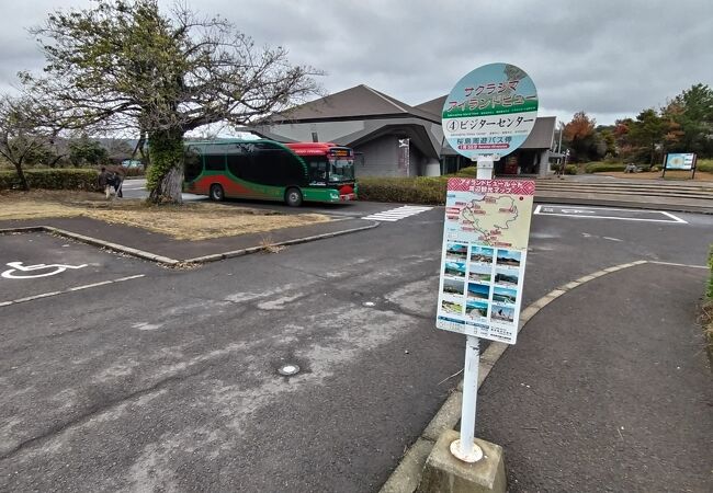 楽に桜島を廻れる☆