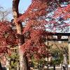 高麗神社