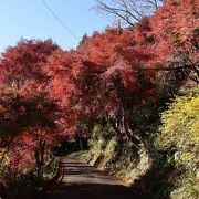 山中の紅葉がきれいな寺院