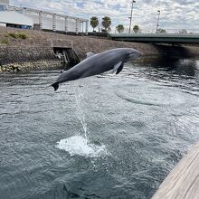 水路にて