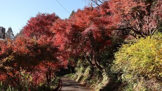 山中の紅葉がきれいな寺院