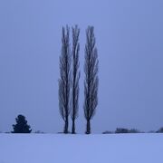 雪道注意