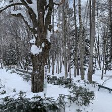 千代田公園