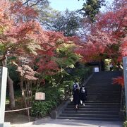 山門の紅葉がすばらしい