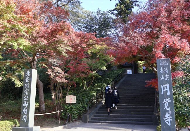 山門の紅葉がすばらしい