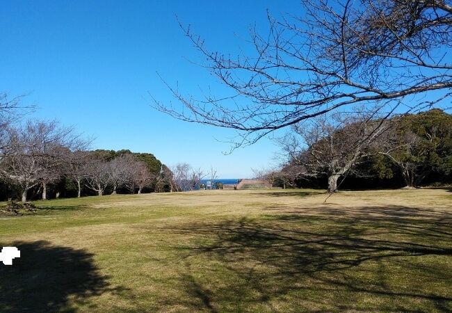 大房岬自然公園