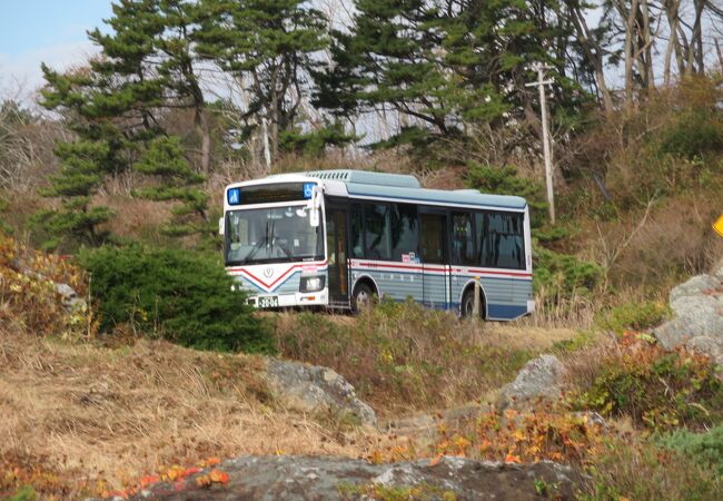 種差海岸遊覧バス うみねこ号