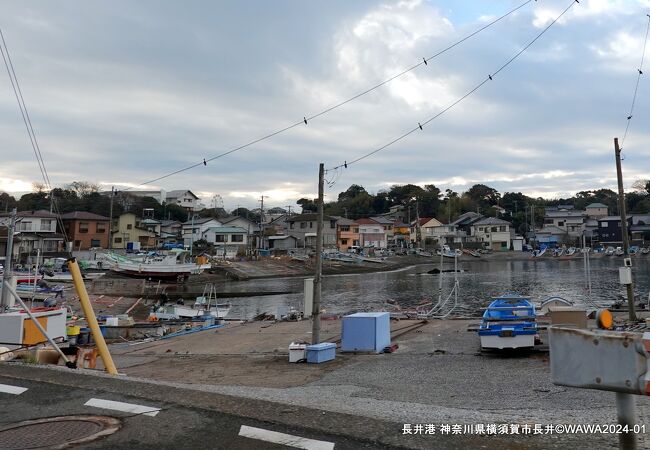 静かな漁港の風情を楽しみました