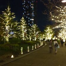 東京ミッドタウン クリスマスイルミネーション 