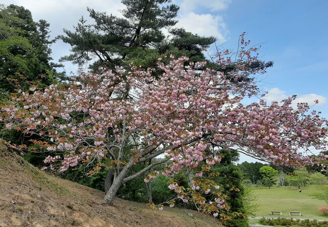 西行戻しの松公園