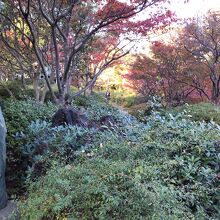 檜町公園（歩一の石碑）