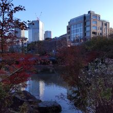 檜町公園