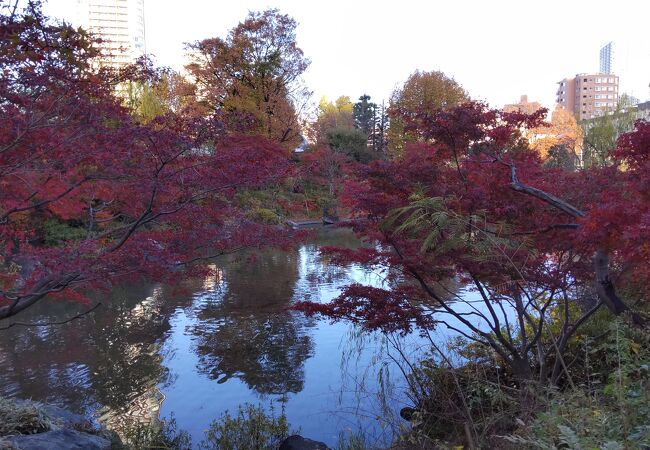 檜町公園