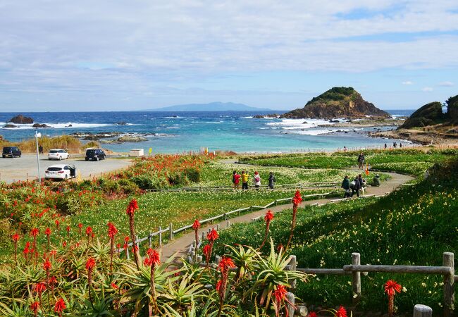 1月の水仙時期がオススメ