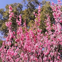 青葉の森公園