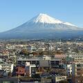 部屋から富士山の絶景が絵画のよう