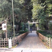 赤坂氷川神社