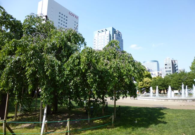 青空と緑と噴水と