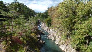 色づき始めていました。