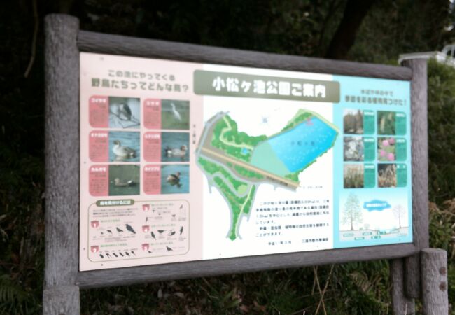 池のある公園