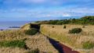 神奈川県立城ケ島公園