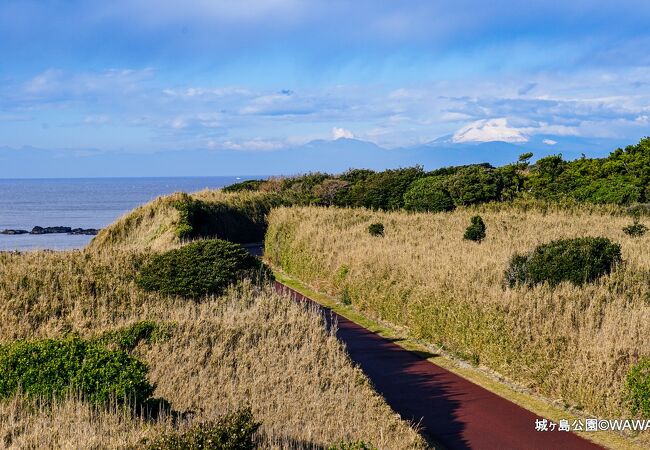 神奈川県立城ケ島公園