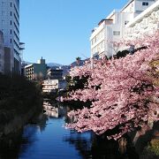 昼に夜も綺麗な伊東温泉の遊歩道