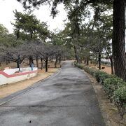桜の名所として、また源平合戦　一ノ谷の戦いのあったあたりの場所です。