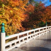 紅葉がきれいでした。