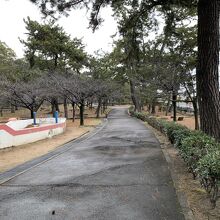 須磨浦公園