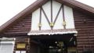 いのししが描かれたモニ1形に会える