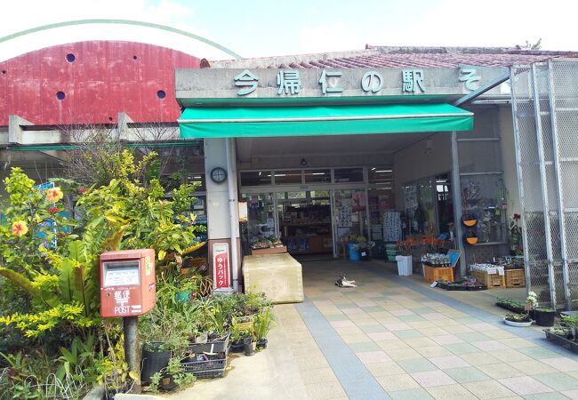 道の駅 今帰仁の駅そーれ