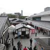 熊本城 桜の馬場 桜の小路