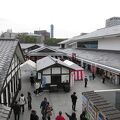 熊本城 桜の馬場 桜の小路