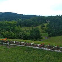 足湯からちょっとだけ移動すればこんな風景が広がる