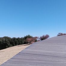 歩きやすい歩道