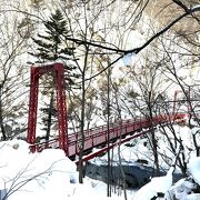 つり橋まで続く川沿いの散策路