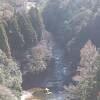 県道沿い