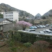 部屋からの眺め／正面下田富士。左：下田市役所移転予定の廃校