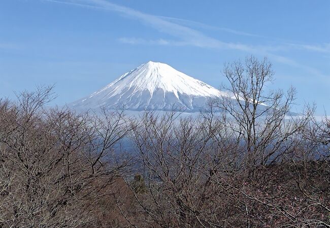 雨上がりで絶景富士山