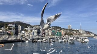 熱海遊覧船サンレモ