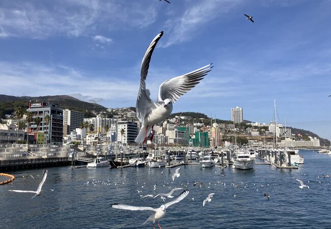 熱海遊覧船サンレモ